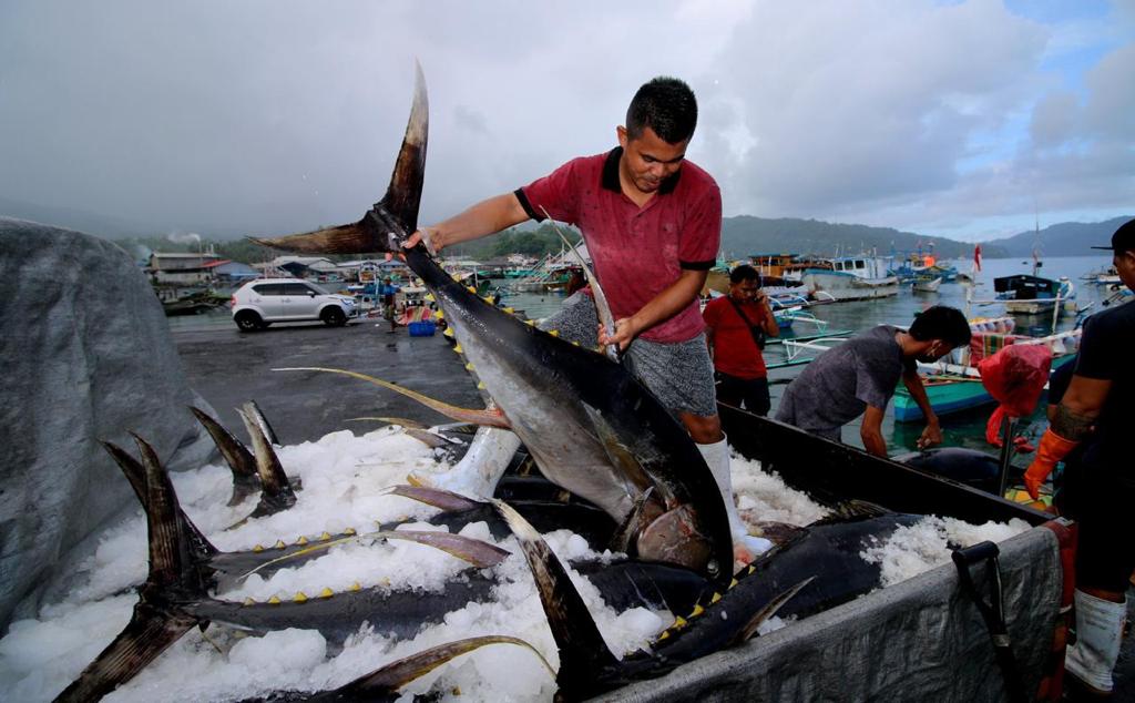 Mengukur Potensi PNBP Penangkapan Ikan Terukur